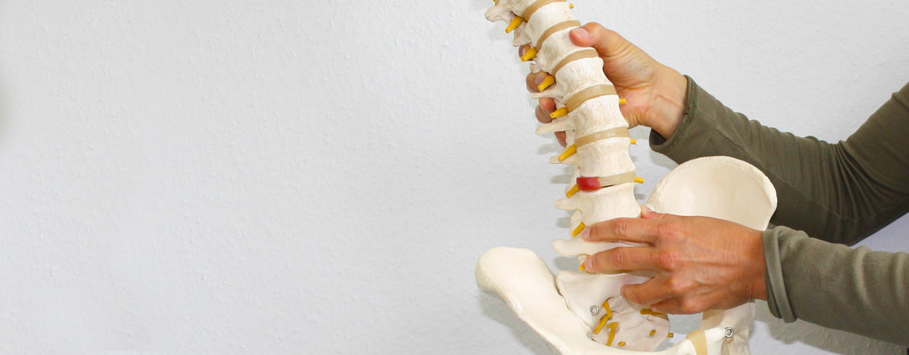 Wirbelsäule - Chiropraxis Rückenwind